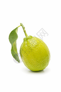 新鲜柠檬季节食物植物石灰绿素食水果背景图片