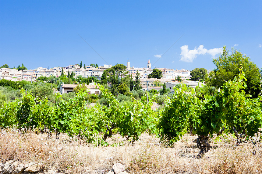 法国普罗旺斯 具有葡萄园的Azur和Azur植被城市种植农业世界栽培旅行外观葡萄位置图片