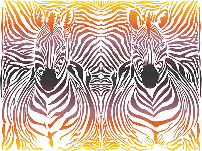 Zebra 抽象模式背景背景图片