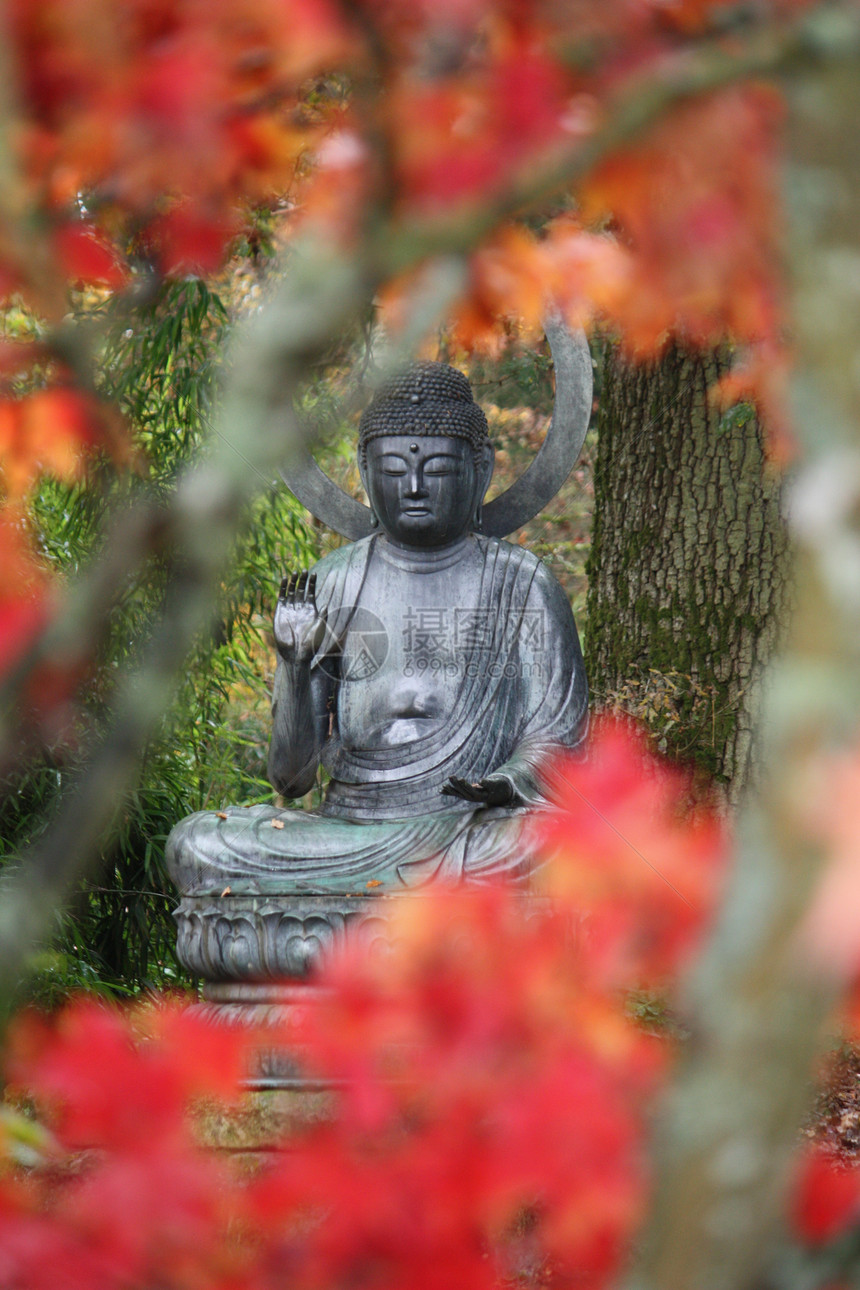 日本雕像植物园花园衬套图片