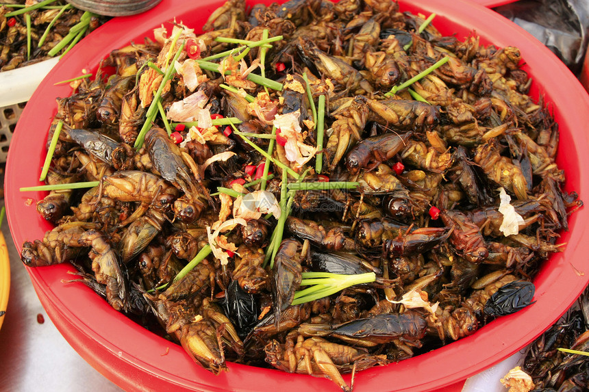 出售的炸鸡 柬埔寨毛虫蚱蜢蚯蚓油炸绿色热带食物蟑螂漏洞托盘图片