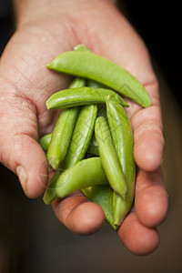 与皮派手牵手男性蔬菜人类农业市场开幕式健康饮食收获男士食物背景图片