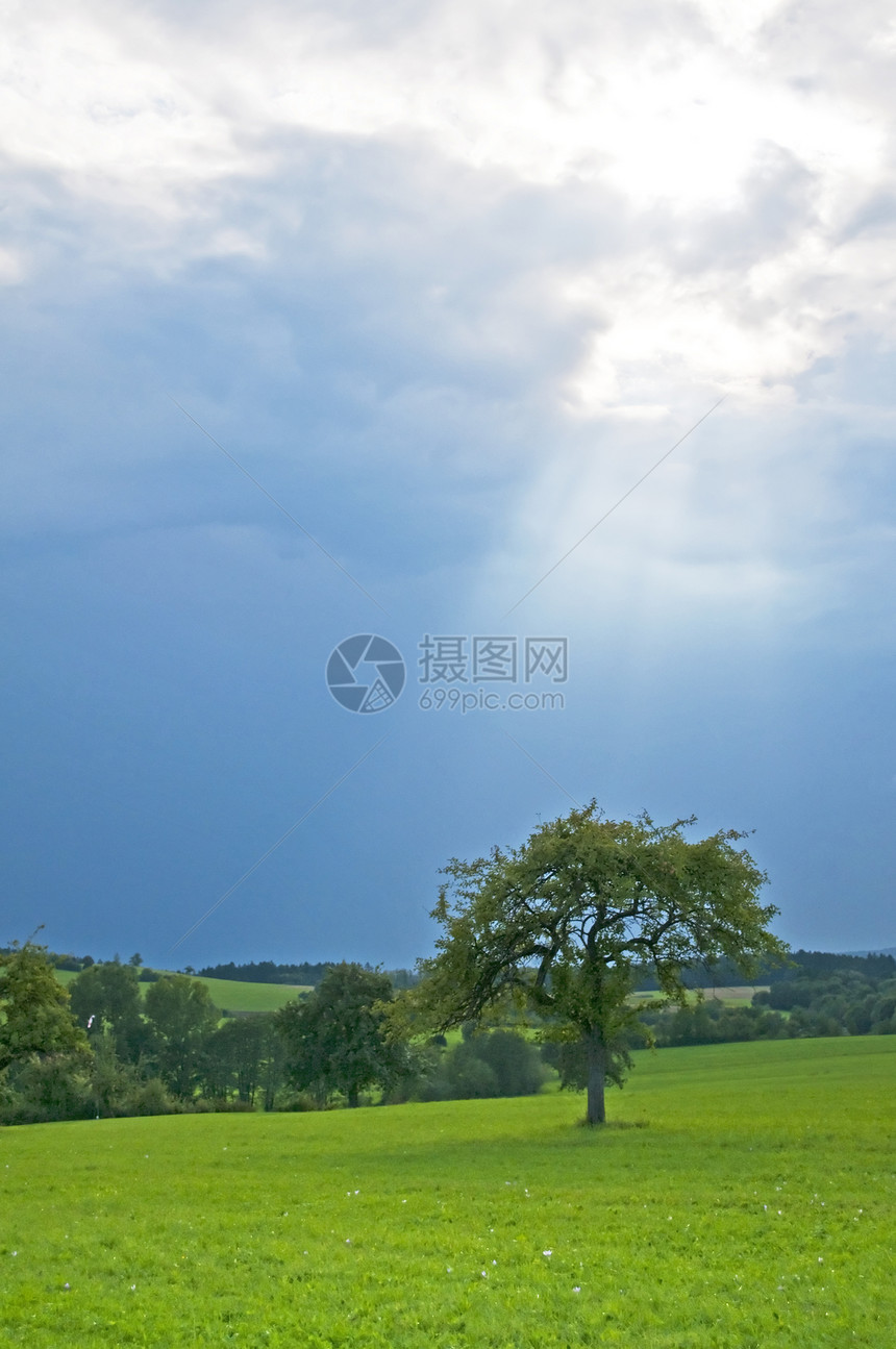 阳光井阳光晴天白色树木季节性太阳木头天气绿色森林图片