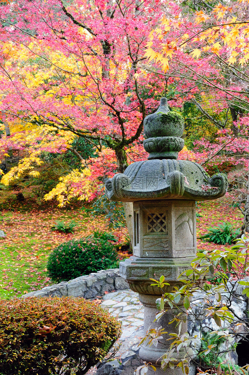 日本花园偶像盆栽雕塑雕像植物学森林反射树木岩石石头图片