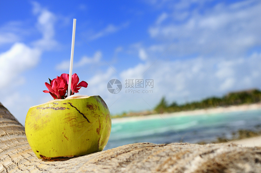 海滩上的椰子晴天旅游支撑太阳异国蓝色阳光茶点坚果假期图片