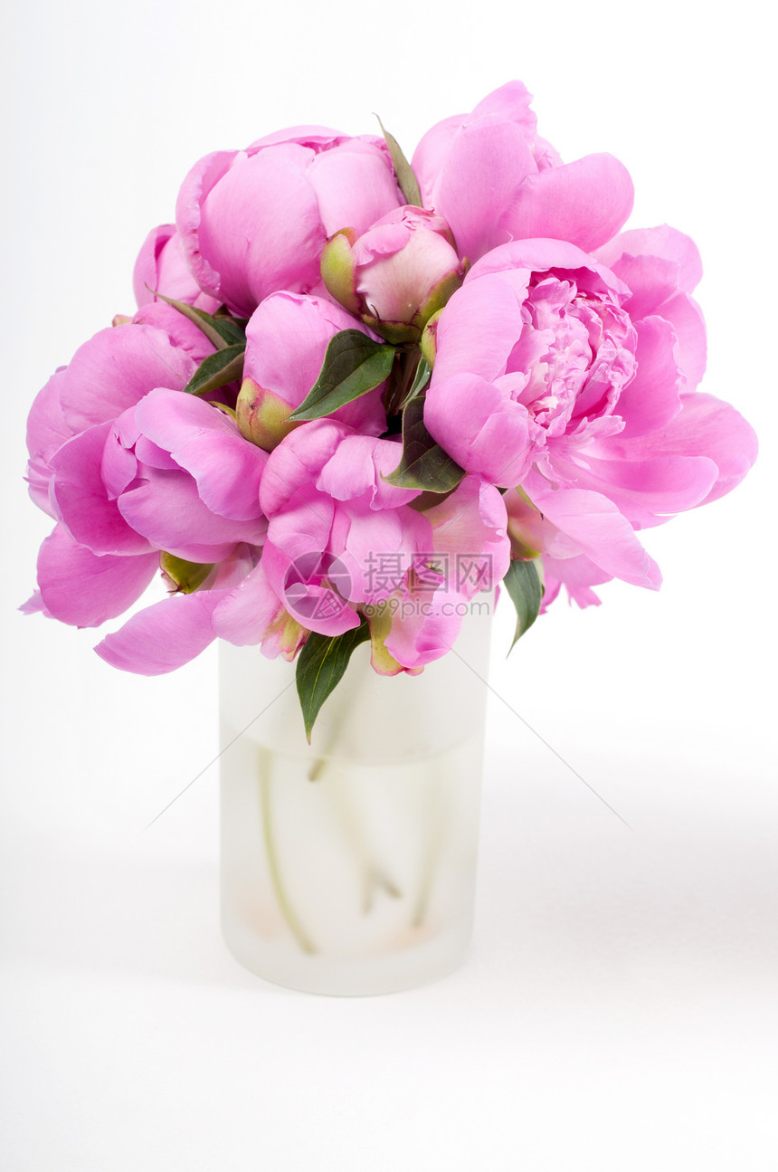 粉红小马花瓶花束工作室叶子宏观植物花瓣花园礼物植物群图片