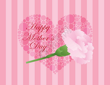 粉红康乃馨鲜花插图高清图片