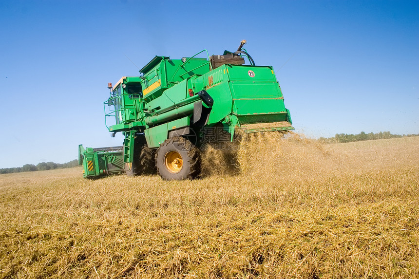 合并组合粮食农业稻草黄色收割机机械收获小麦食物机器图片