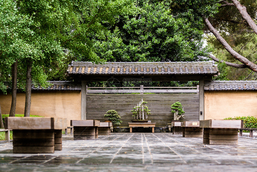 日本花园棕色衬套植物绿色公园建筑学生长文化生物水平图片