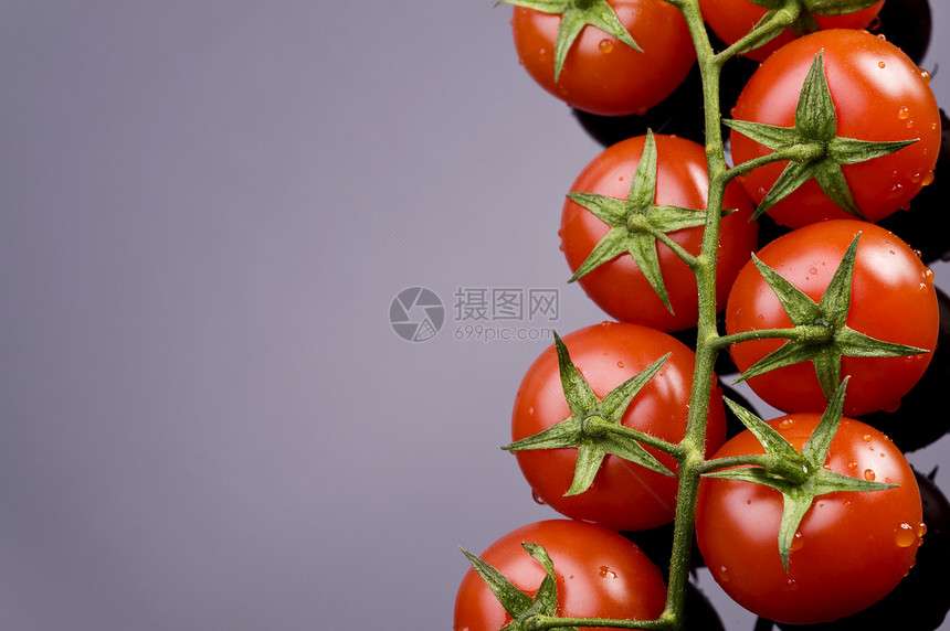 新鲜番茄饮食维生素生产健康茶点豆类花园蔬菜生物收获图片