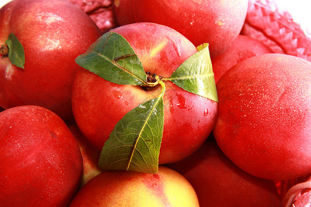 桃子篮子白色饮食营养健康水果绿色黄色橙子红色背景图片
