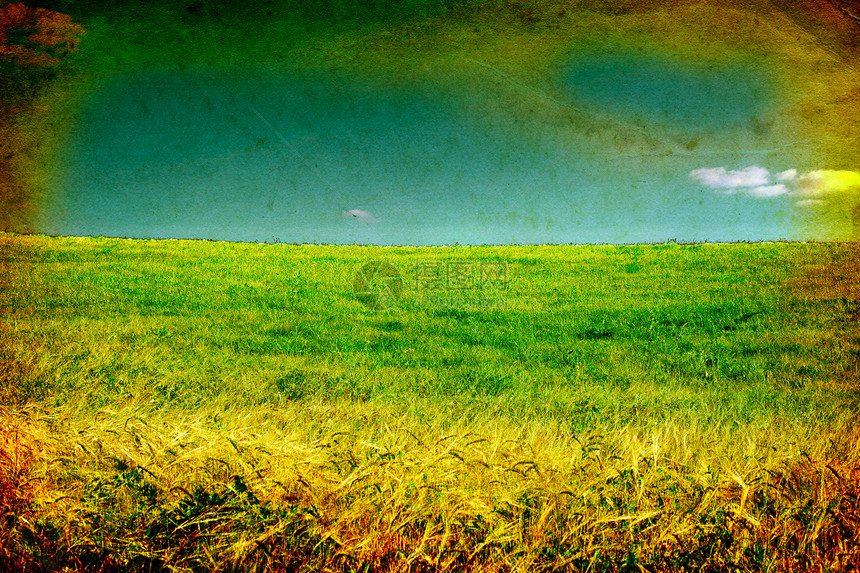 旧照片景观草地天空摄影古董小麦乡愁绿色植物打印蓝色回忆图片