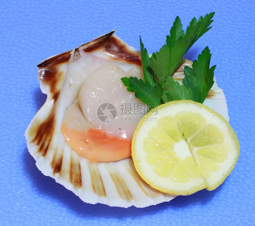贝壳鱼用餐扇贝午餐动物美食对虾敷料柠檬香菜螃蟹图片