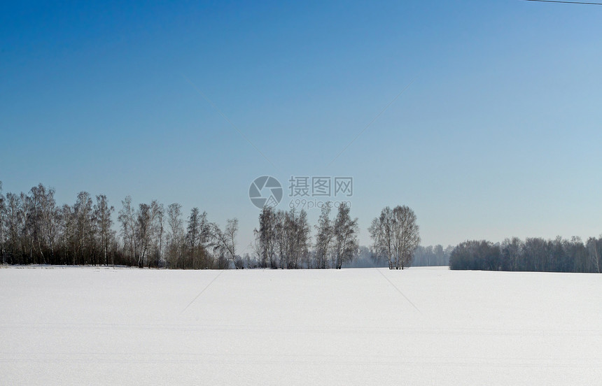 冬季风景场地树木森林牧场水晶阳光寒冷孤独荒野天空图片