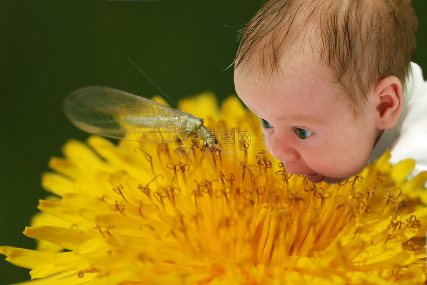 看着虫子的可爱宝宝图片
