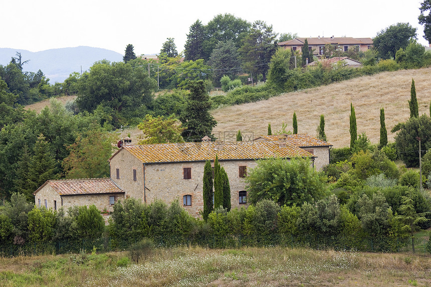 典型的Tuscan 房屋藤蔓场地乡村草地房子别墅农村绿色酒厂葡萄园图片