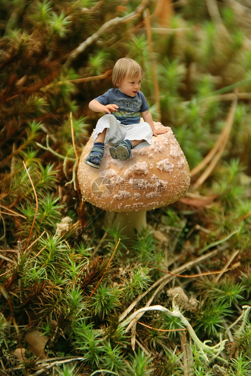 坐在蘑菇上的小可爱男孩图片