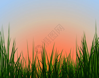 日落和草背景图片