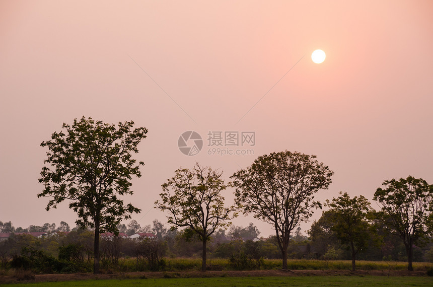 日落时在田地上植树草地场地荒野天气地球天空环境地面太阳土壤图片