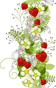 草莓花卉植物带草莓的无缝花卉形态插画