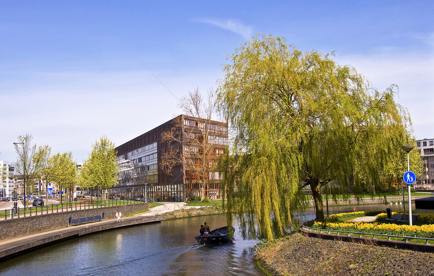 阿姆斯特丹 现代住宅区城市树叶街道摄影树木游泳海浪建筑学渠道阳光图片