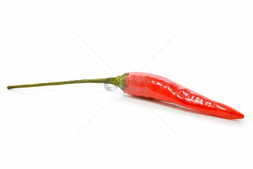 辣椒白色食物蔬菜红色胡椒图片