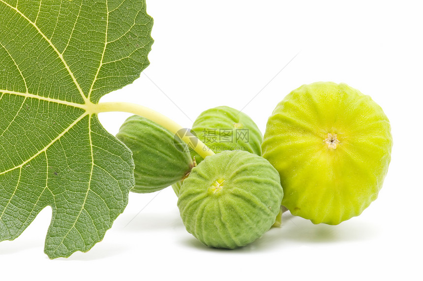 新鲜无花果季节绿色维生素素食甜点水果饮食浆果植物农业图片