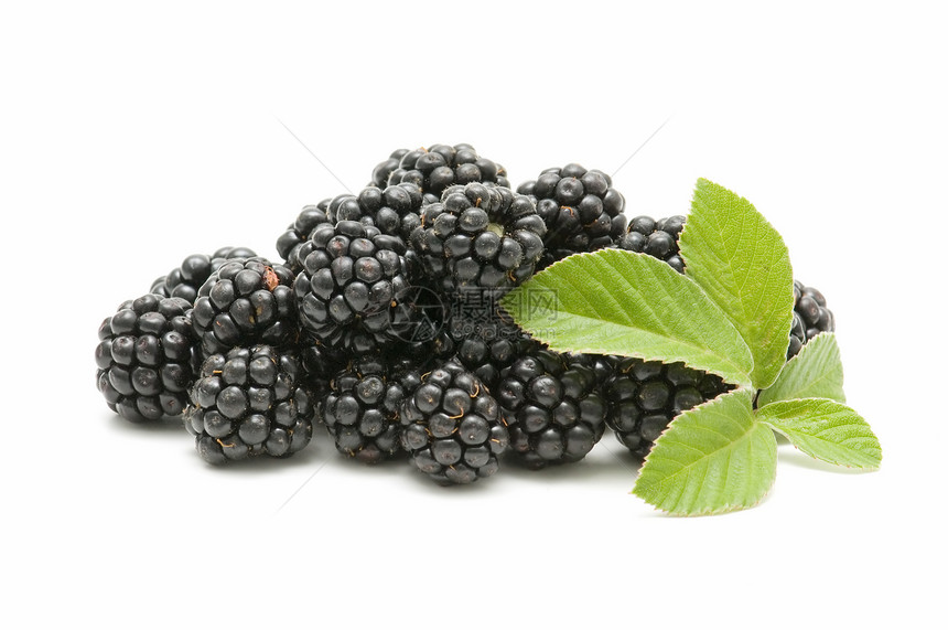 黑莓浆果果汁早餐花园香气宏观食物荆棘饮食叶子图片