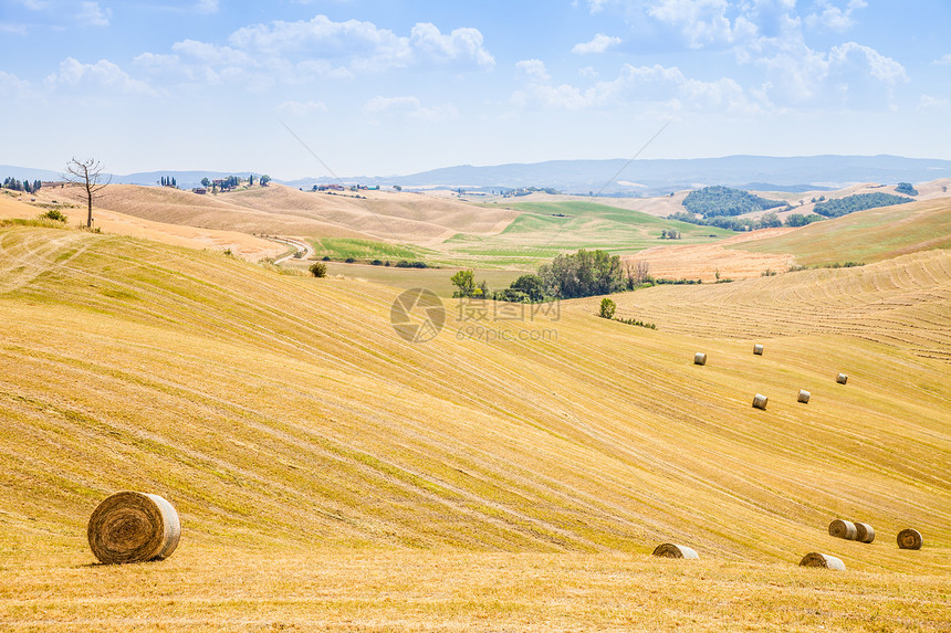 托斯卡纳国家农田黄色草地乡村农业天空场地山坡风景绿色图片
