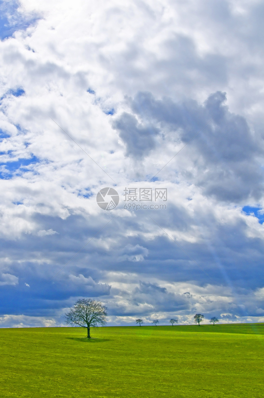 带树和云的绿草牧场场地土地天空乡村绿色草地风暴牧歌环境图片