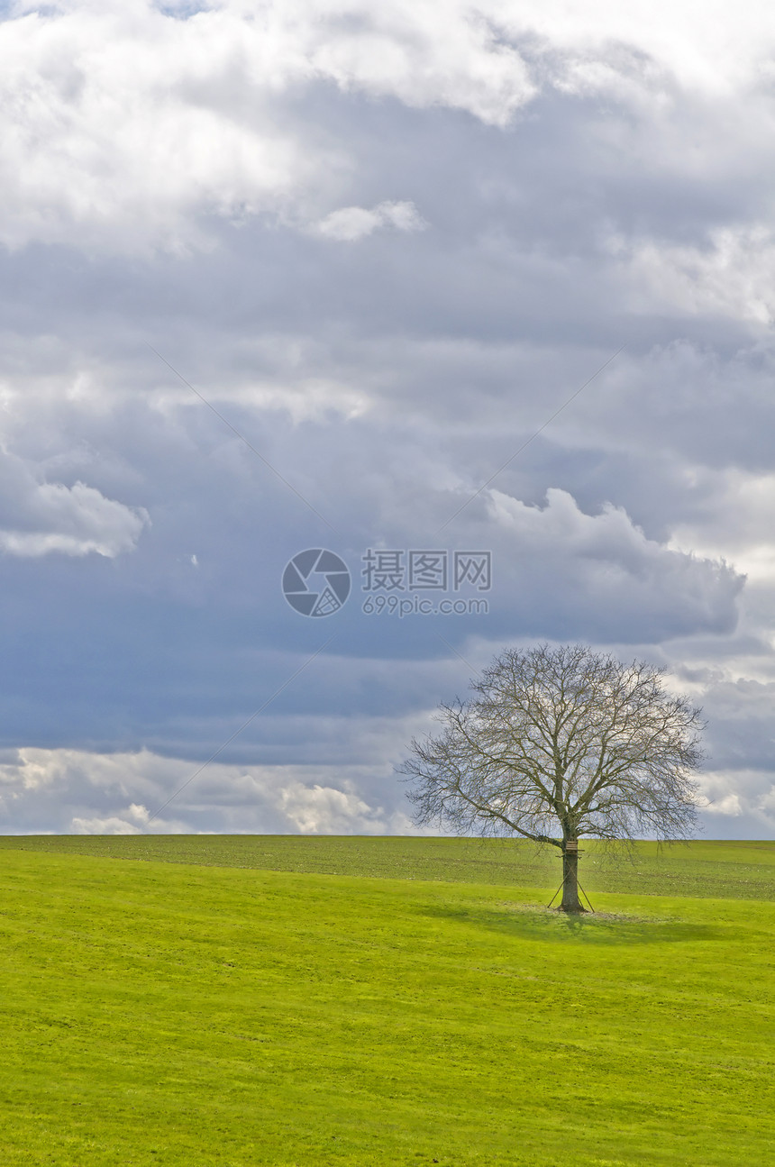 带树和云的绿草牧场草地环境场地乡村风暴土地天气天空牧歌图片