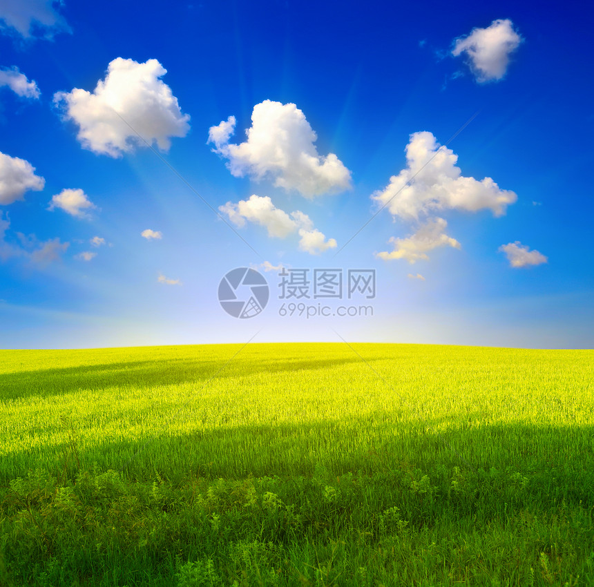 绿草和蓝天空草地太阳阳光生长晴天土地季节生态桌面风景图片