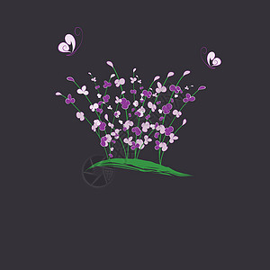 夏季紫色花蝴蝶贺卡季节插图创造力曲线植物群白色绿色薰衣草明信片问候背景图片
