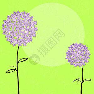 抽象春季紫色Hydranga花曲线插图植物群绿色创造力绣球花问候白色漩涡季节背景图片