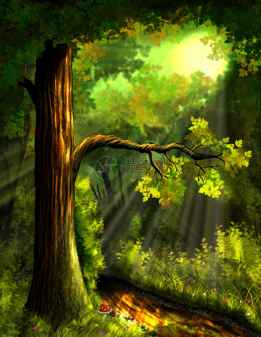 森林衬套绿色黄色自然树叶踪迹童话太阳光线植物群图片