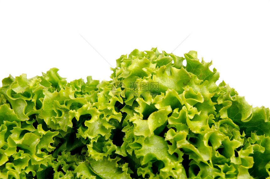 生菜沙拉叶叶子蔬菜绿色多叶沙拉植物白色脱脂主食小吃图片