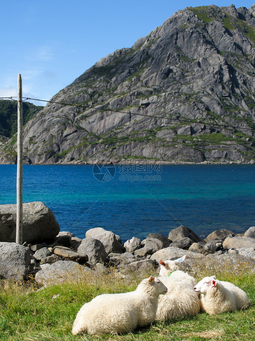挪威景观挪威晴天自由太阳远足岩石旅行农村旅游爬坡海岸图片