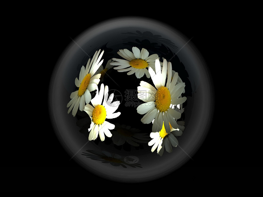 花朵在泡沫中插图植物圆圈艺术图片