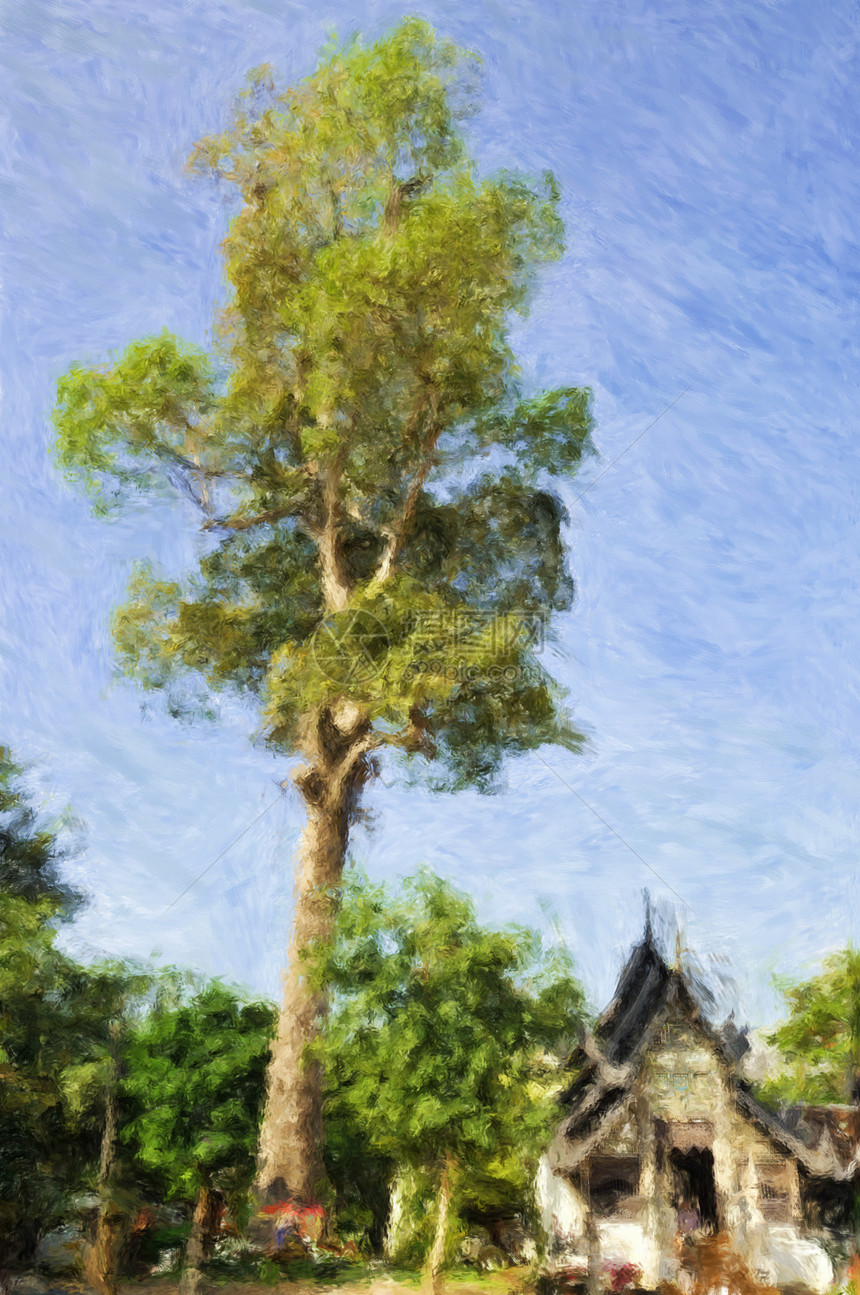 泰国寺树图片
