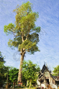泰国寺树背景图片
