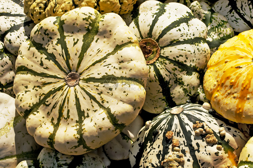 帕蒂松壁球产品市场熟食蔬菜烹饪季节性图片