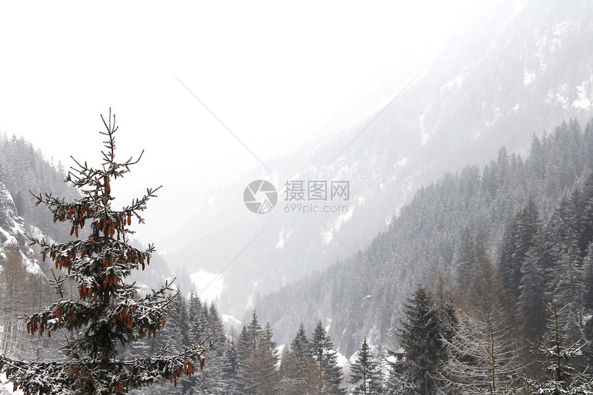 冬季山中美丽的林林季节环境木头气候高地旅行假期童话天空天气图片