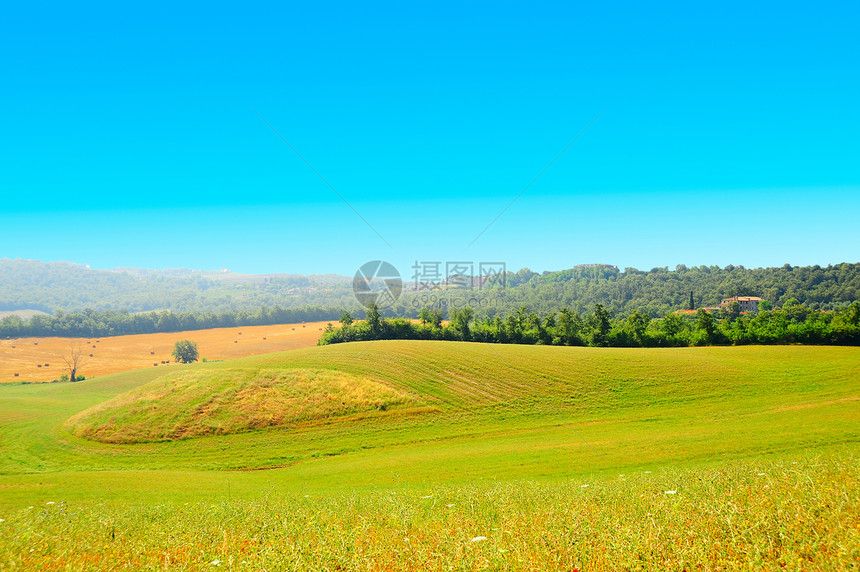 托斯卡纳景观全景爬坡天空场地远景农村小麦国家生长干草图片