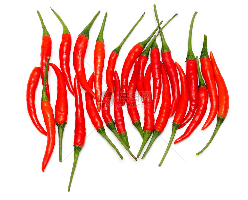 红色辣椒卷 白纸上孤立的红辣椒图片