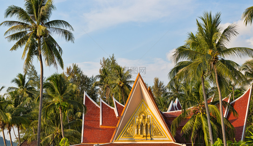 泰国有棕榈树的房屋图片