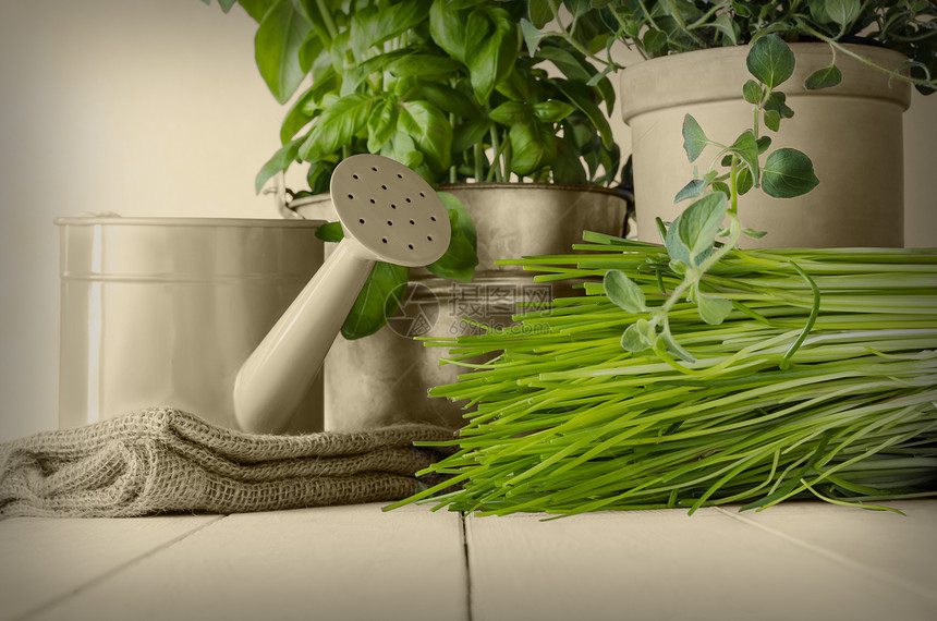 塞皮亚岛上的绿厨房草药图片