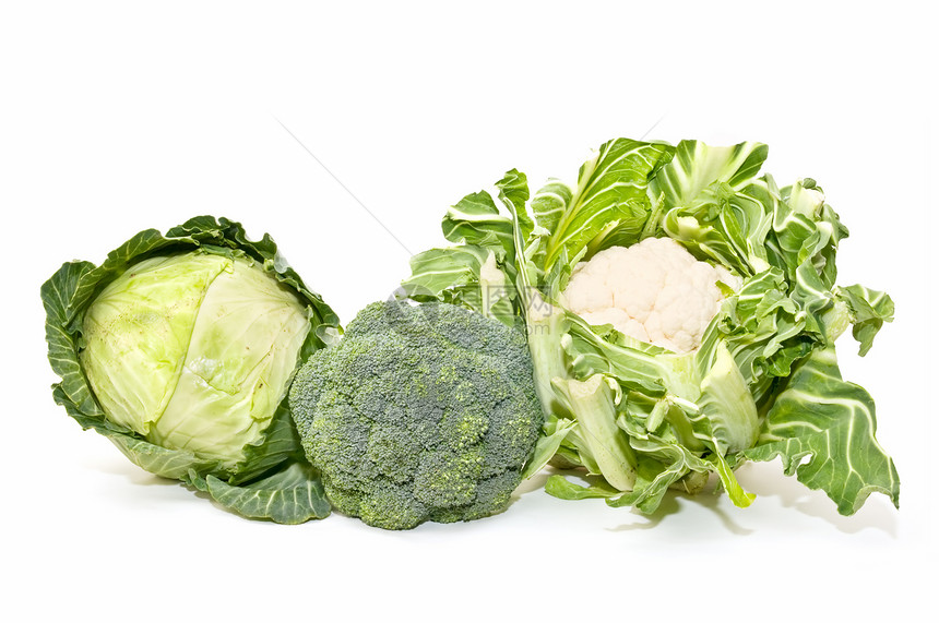 卷心菜 花椰菜和西兰花农业植物群维生素绿色植物食物树叶果园蔬菜图片