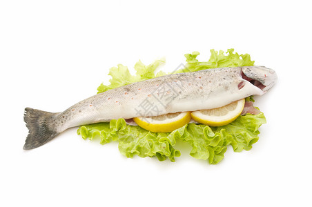 蓝鳟鱼野外鳟鱼食物野生动物市场蓝鱼渔业淡水营养餐厅健康动物背景