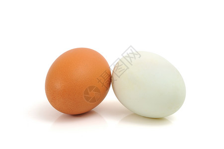 蛋宠物动物鸡蛋白色饮食棕色食物背景图片