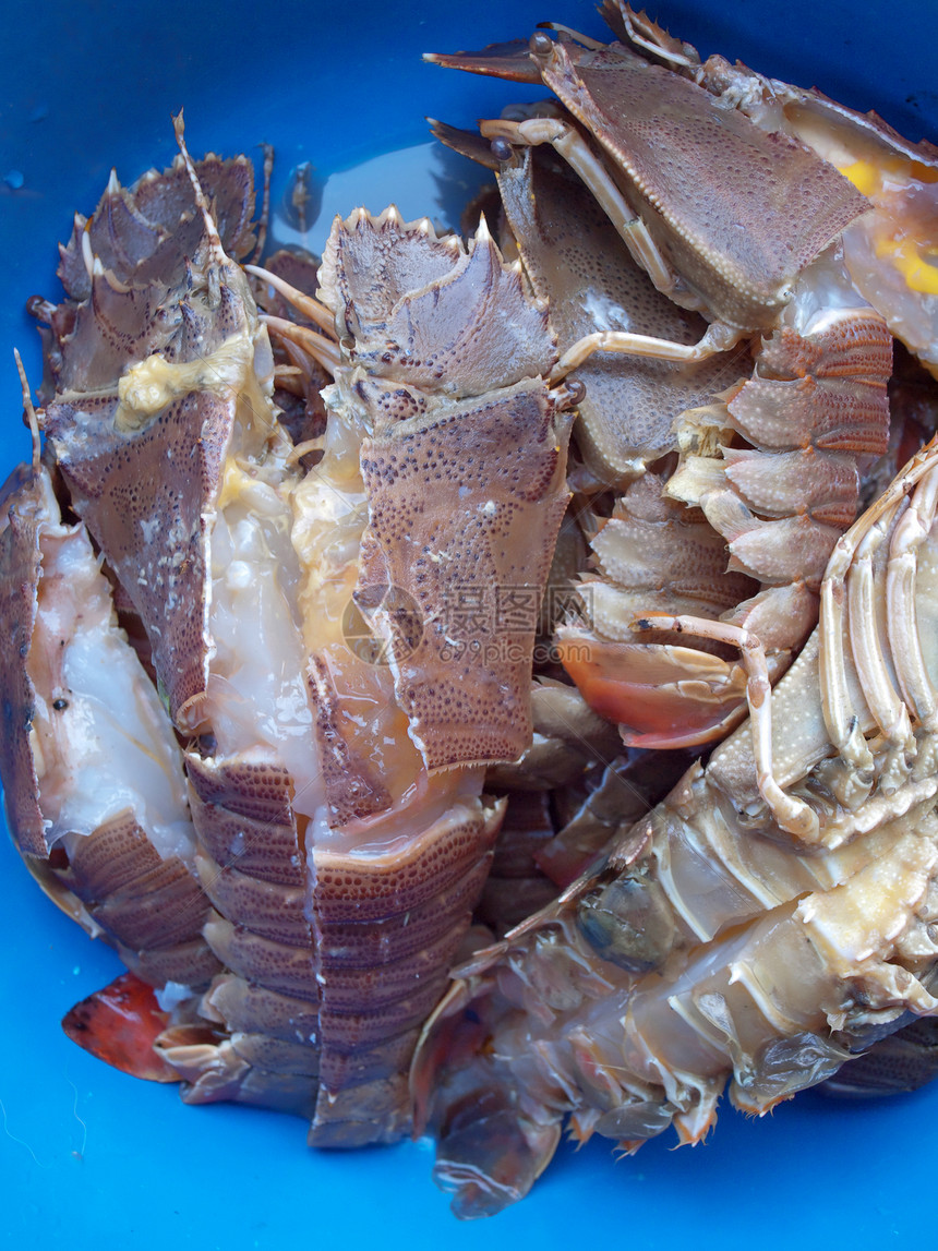 平头龙虾美食海洋团体海鲜食物营养动物奢华烹饪图片